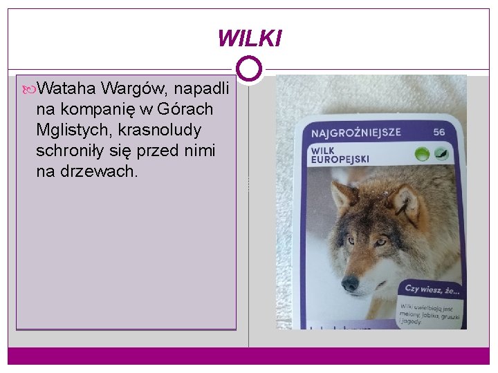 WILKI Wataha Wargów, napadli na kompanię w Górach Mglistych, krasnoludy schroniły się przed nimi