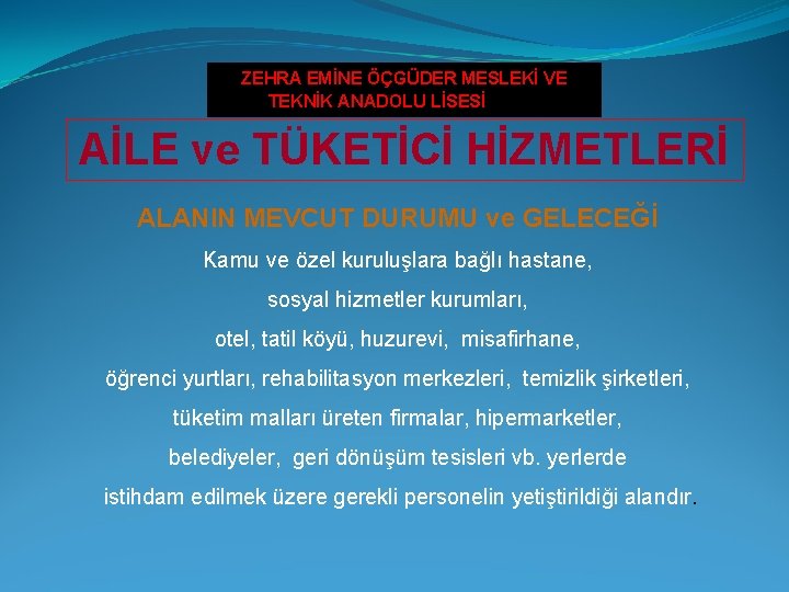 ZEHRA EMİNE ÖÇGÜDER MESLEKİ VE TEKNİK ANADOLU LİSESİ Lisesi AİLE ve TÜKETİCİ HİZMETLERİ ALANIN