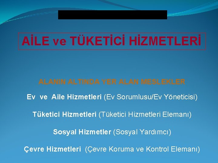 Kız Teknik ve Meslek Lisesi AİLE ve TÜKETİCİ HİZMETLERİ ALANIN ALTINDA YER ALAN MESLEKLER