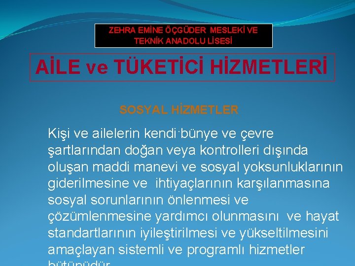 ZEHRA EMİNE ÖÇGÜDER MESLEKİ VE TEKNİK ANADOLU LİSESİ AİLE ve TÜKETİCİ HİZMETLERİ SOSYAL HİZMETLER.