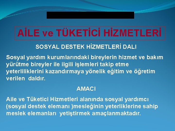 Kız Teknik ve Meslek Lisesi AİLE ve TÜKETİCİ HİZMETLERİ SOSYAL DESTEK HİZMETLERİ DALI Sosyal