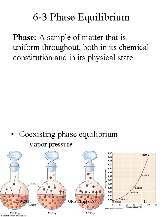 6 -3 Phase Equilibrium Phase: A sample of matter that is uniform throughout, both