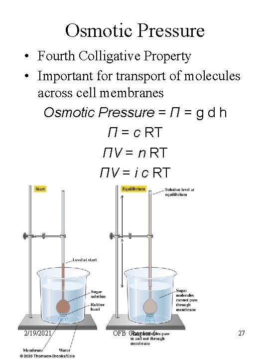 Osmotic Pressure • Fourth Colligative Property • Important for transport of molecules across cell