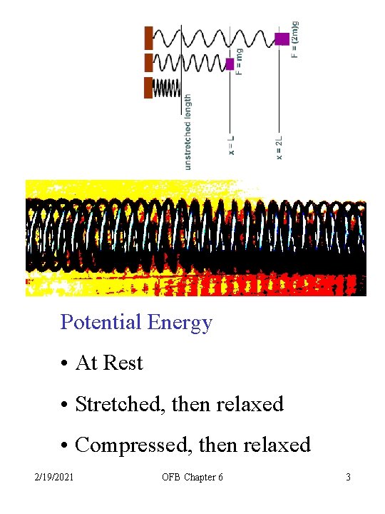 Potential Energy • At Rest • Stretched, then relaxed • Compressed, then relaxed 2/19/2021