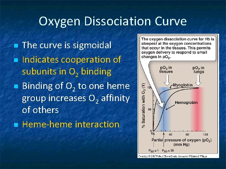 Oxygen Dissociation Curve n n The curve is sigmoidal Indicates cooperation of subunits in