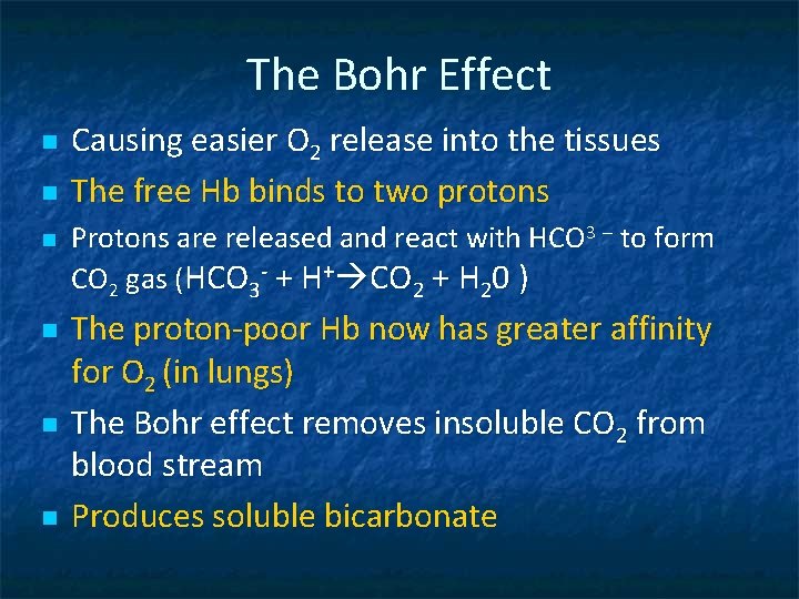 The Bohr Effect n n n Causing easier O 2 release into the tissues
