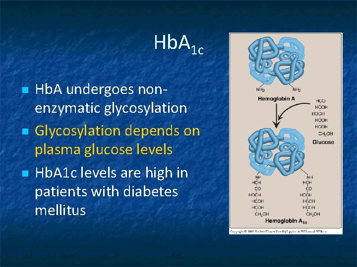 Hb. A 1 c n n n Hb. A undergoes nonenzymatic glycosylation Glycosylation depends