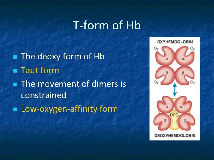 T-form of Hb n n The deoxy form of Hb Taut form The movement