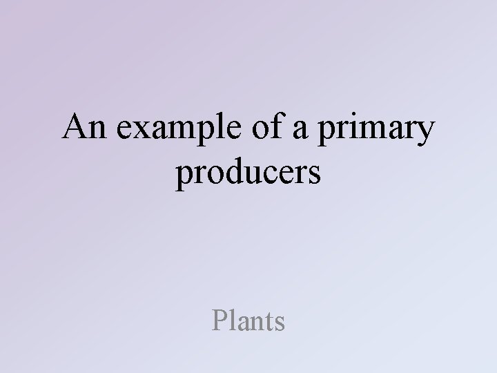 An example of a primary producers Plants 