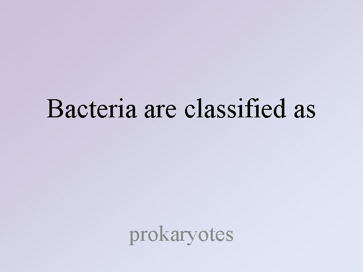Bacteria are classified as prokaryotes 