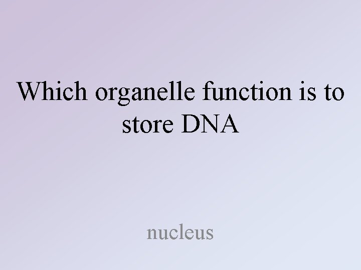Which organelle function is to store DNA nucleus 
