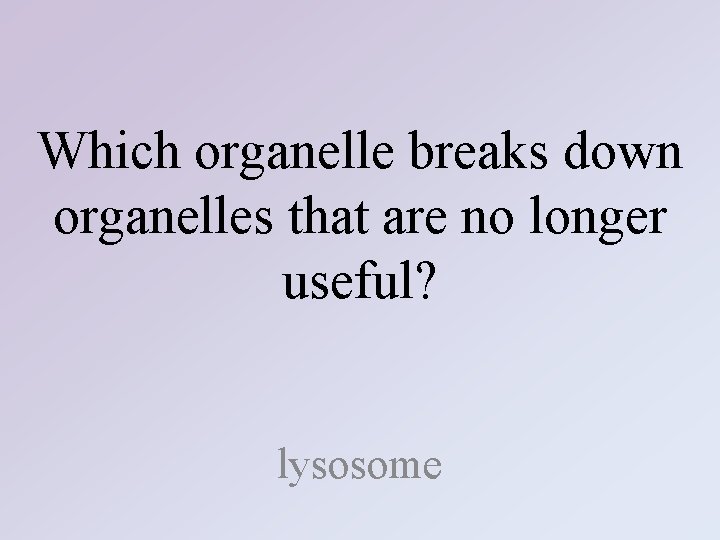 Which organelle breaks down organelles that are no longer useful? lysosome 