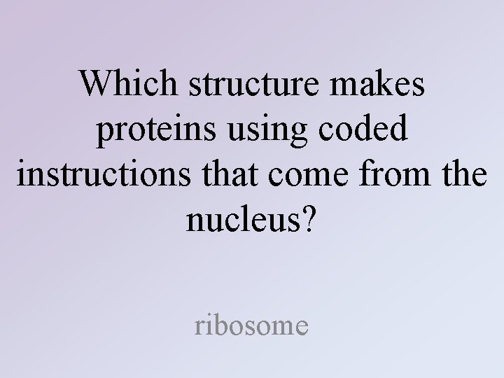 Which structure makes proteins using coded instructions that come from the nucleus? ribosome 