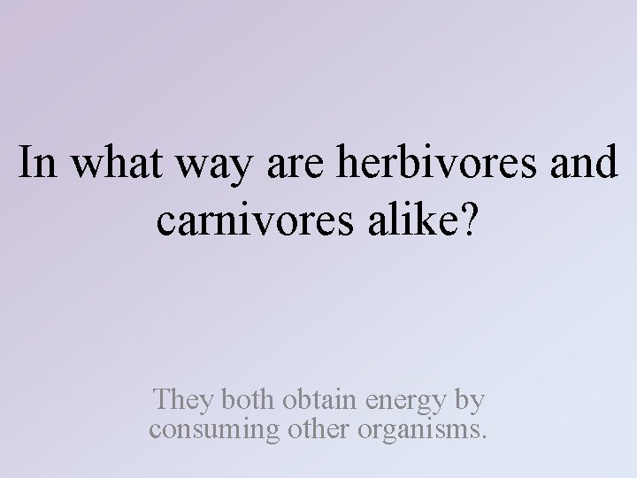 In what way are herbivores and carnivores alike? They both obtain energy by consuming