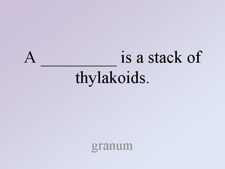 A _____ is a stack of thylakoids. granum 
