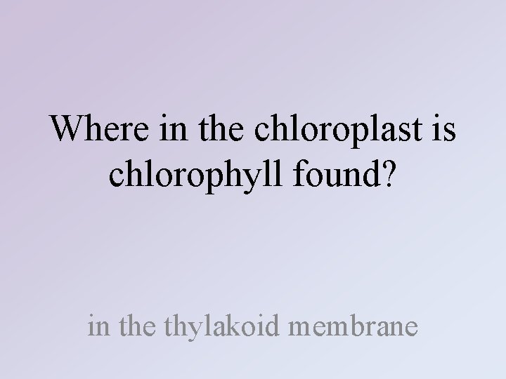 Where in the chloroplast is chlorophyll found? in the thylakoid membrane 
