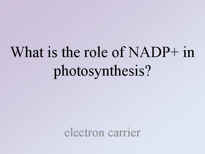 What is the role of NADP+ in photosynthesis? electron carrier 