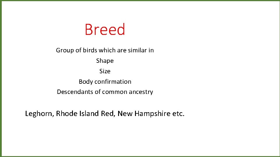 Breed Group of birds which are similar in Shape Size Body confirmation Descendants of