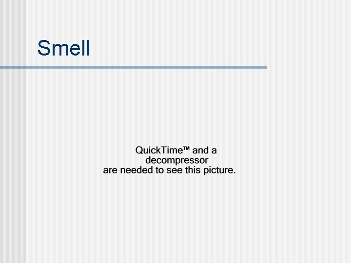Smell 