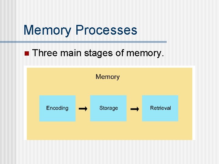 Memory Processes n Three main stages of memory. 