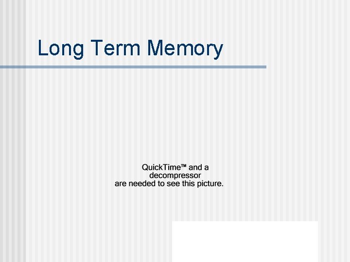 Long Term Memory 