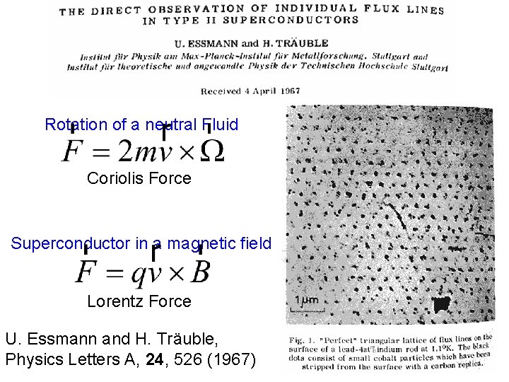 Rotation of a neutral Fluid Coriolis Force Superconductor in a magnetic field Lorentz Force
