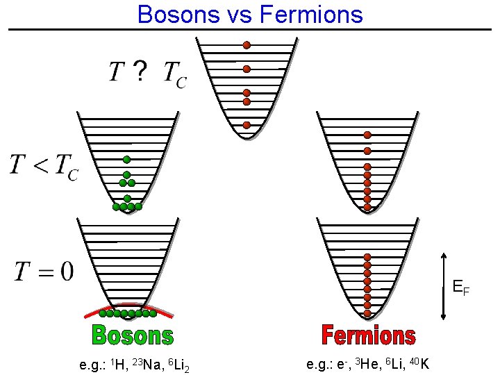 Bosons vs Fermions EF e. g. : 1 H, 23 Na, 6 Li 2
