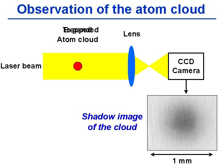 Observation of the atom cloud Trapped Expanded Atom cloud Lens CCD Camera Laser beam