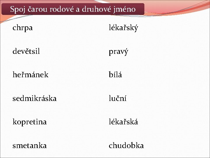 Spoj čarou rodové a druhové jméno chrpa lékařský devětsil pravý heřmánek bílá sedmikráska luční