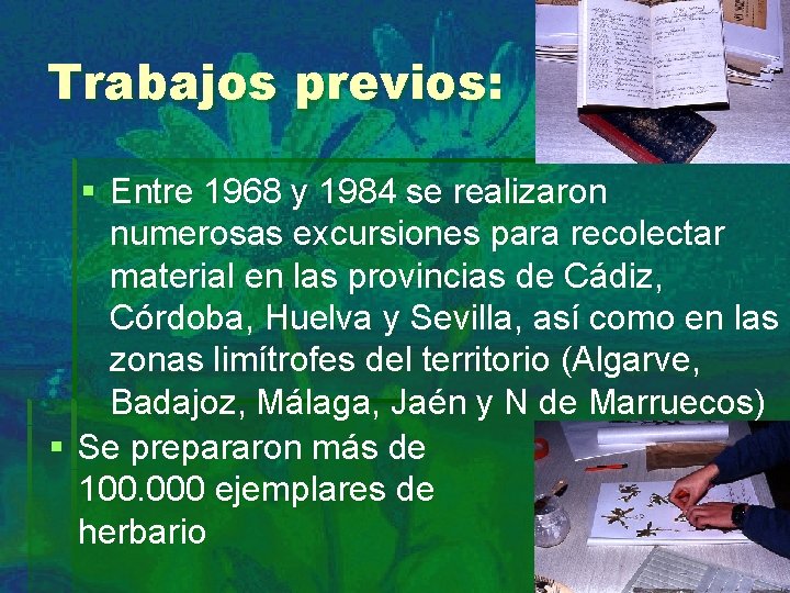 Trabajos previos: § Entre 1968 y 1984 se realizaron numerosas excursiones para recolectar material