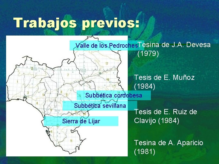 Trabajos previos: Valle de los Pedroches. Tesina de J. A. Devesa (1979) Tesis de