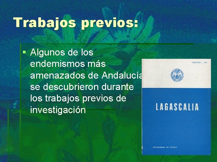 Trabajos previos: § Algunos de los endemismos más amenazados de Andalucía se descubrieron durante