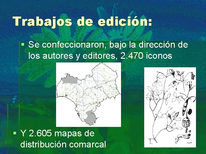 Trabajos de edición: § Se confeccionaron, bajo la dirección de los autores y editores,