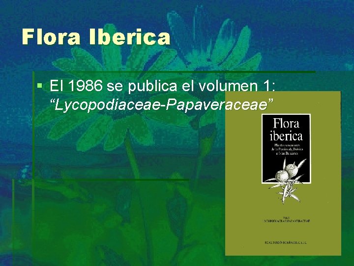 Flora Iberica § El 1986 se publica el volumen 1: “Lycopodiaceae-Papaveraceae” 