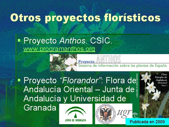 Otros proyectos florísticos § Proyecto Anthos. CSIC. www. programanthos. org § Proyecto “Florandor”: Flora