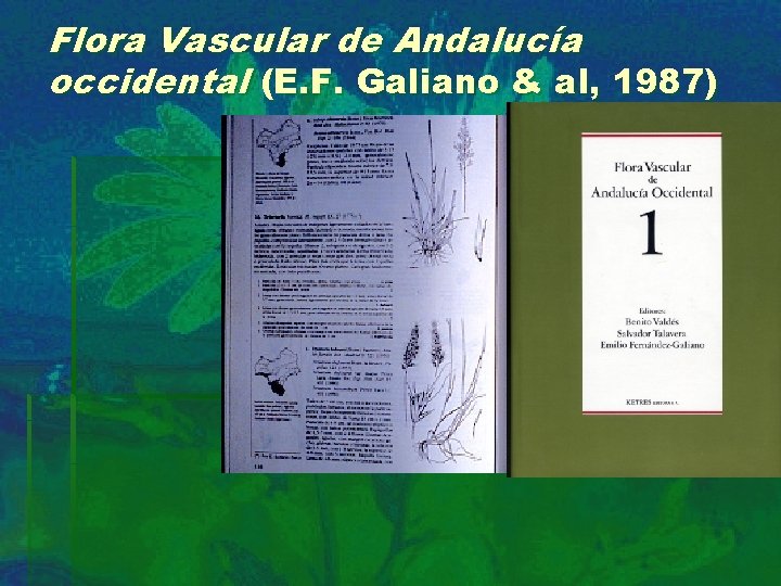 Flora Vascular de Andalucía occidental (E. F. Galiano & al, 1987) 