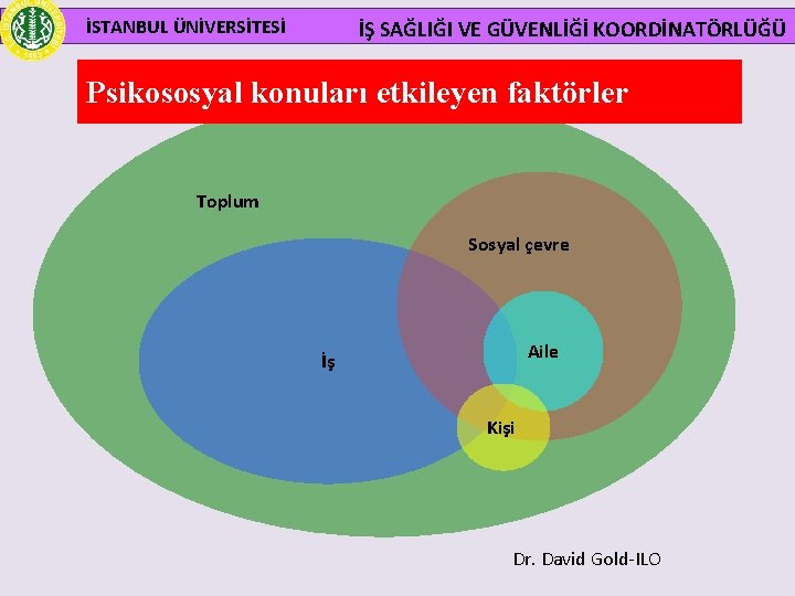 İSTANBUL ÜNİVERSİTESİ İŞ SAĞLIĞI VE GÜVENLİĞİ KOORDİNATÖRLÜĞÜ Psikososyal konuları etkileyen faktörler Toplum Sosyal çevre