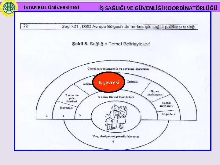 İSTANBUL ÜNİVERSİTESİ İŞ SAĞLIĞI VE GÜVENLİĞİ KOORDİNATÖRLÜĞÜ İş çevresi 