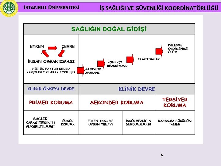 İSTANBUL ÜNİVERSİTESİ İŞ SAĞLIĞI VE GÜVENLİĞİ KOORDİNATÖRLÜĞÜ 5 