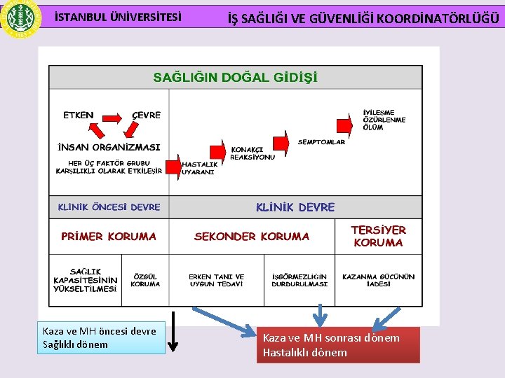 İSTANBUL ÜNİVERSİTESİ Kaza ve MH öncesi devre Sağlıklı dönem İŞ SAĞLIĞI VE GÜVENLİĞİ KOORDİNATÖRLÜĞÜ