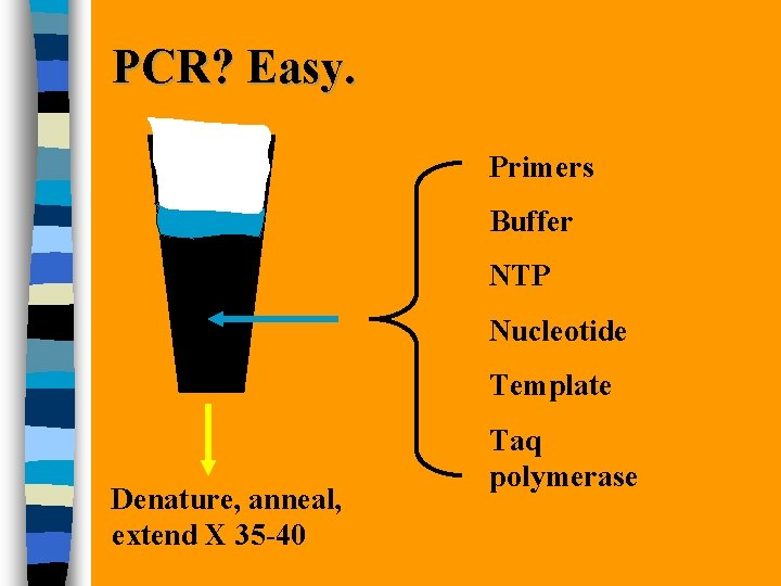 PCR Learning Objectives After this lecture you should