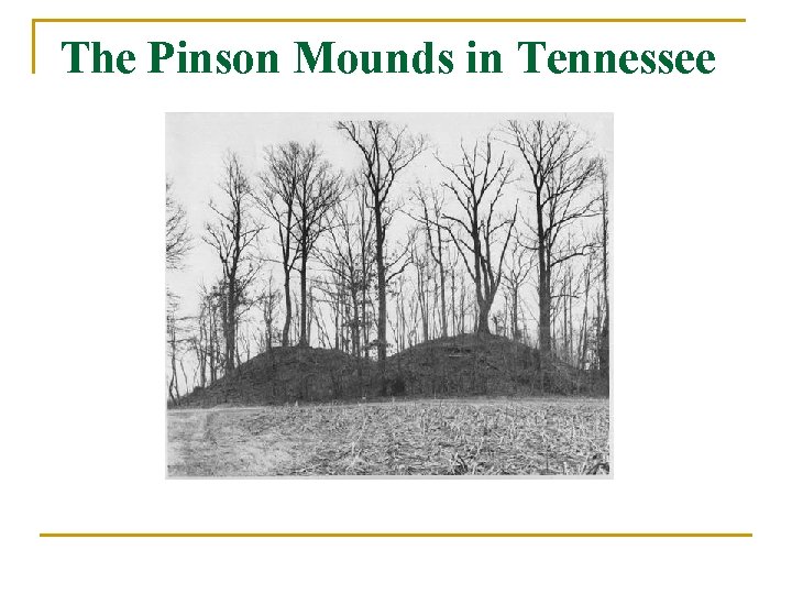 The Pinson Mounds in Tennessee 