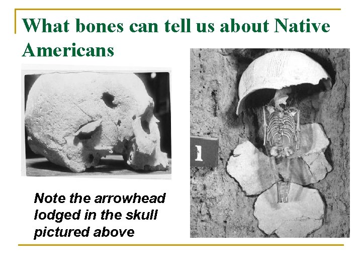 What bones can tell us about Native Americans Note the arrowhead lodged in the