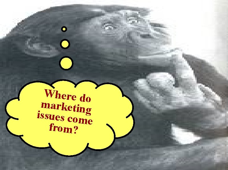 Ergo the Real Where do marketing Question is…. issues com e from? 