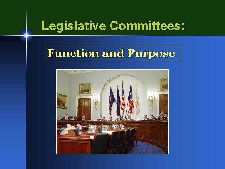 Legislative Committees: Function and Purpose 