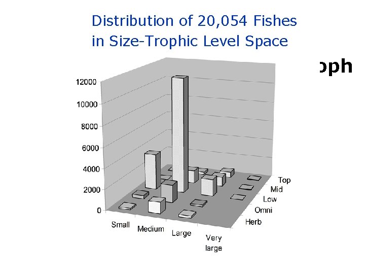 Distribution of 20, 054 Fishes in Size-Trophic Level Space Occupation of Size-Troph Space 