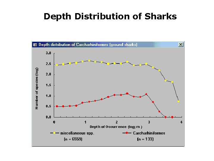 Depth Distribution of Sharks 