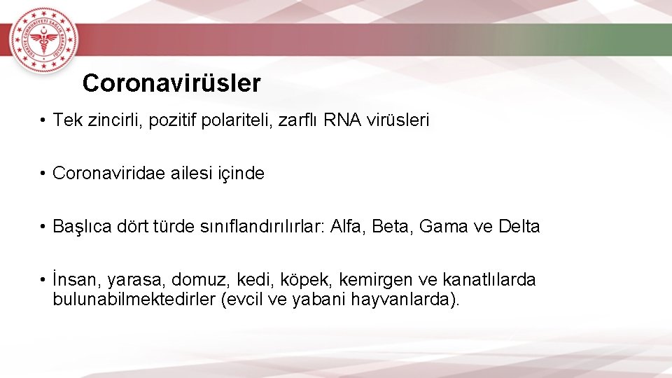 Coronavirüsler • Tek zincirli, pozitif polariteli, zarflı RNA virüsleri • Coronaviridae ailesi içinde •