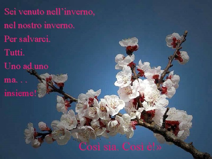 Sei venuto nell’inverno, nel nostro inverno. Per salvarci. Tutti. Uno ad uno ma. .