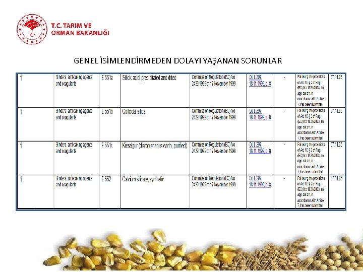 GENEL İSİMLENDİRMEDEN DOLAYI YAŞANAN SORUNLAR 